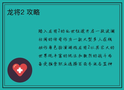 龙将2 攻略